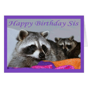 naissance de SIS