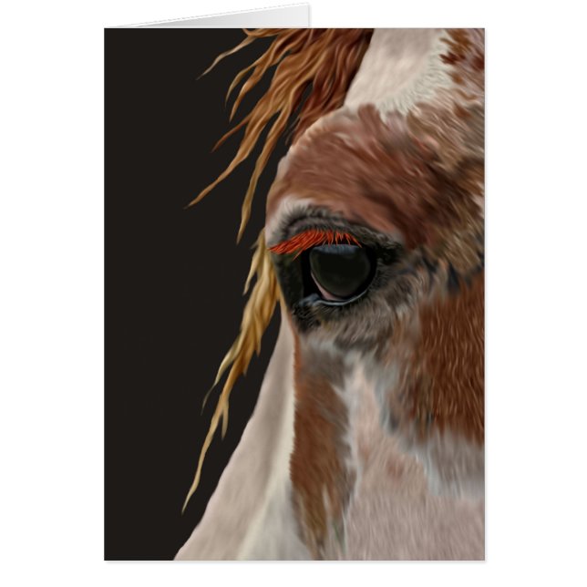 Nakota Horse (Devant)