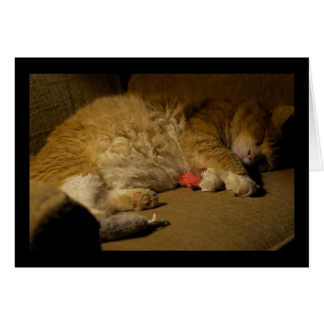 Nap de chat (Devant horizontal)
