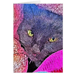 Napoléon dans une couverture