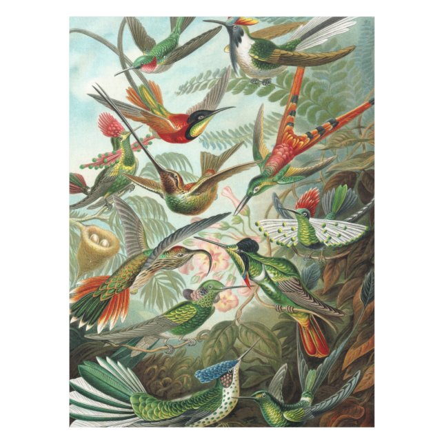 Nappe 12 oiseaux charmeurs américains peints (Devant)