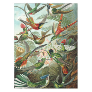 Nappe 12 oiseaux charmeurs américains peints