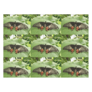 Nappe à papillon noir rouge et or