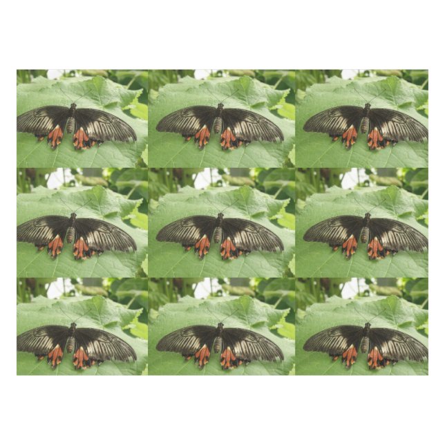 Nappe à papillon noir rouge et or (Devant (Horizontal))