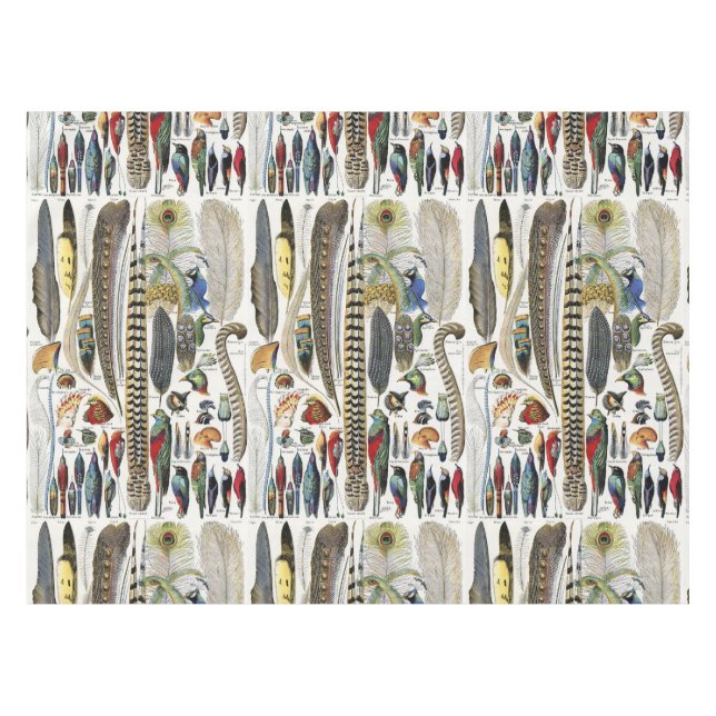 Nappe Adolphe Millot Dark Academia Vintage Plume d'Oisea (Devant (Horizontal))