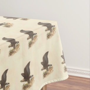 Nappe Aigle d'or (Aquila chrysaetos) NY Bird Image