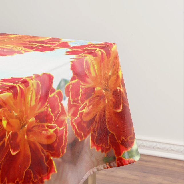 Nappe Anastaise (In Situ)