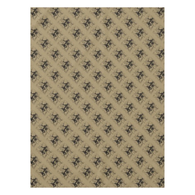 Nappe Aquarius Constellation Hevelius 1690 Jan 20 Feb 18 (Devant)