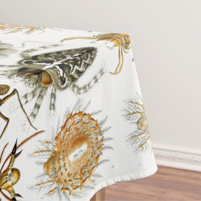 Nappe Arachnides par Ernest Haeckel illustration vintage (Créateur téléchargé)