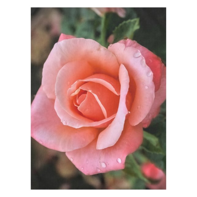 Nappe Art botanique romantique Rose Imprimer (Devant)