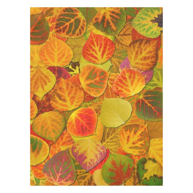 Nappe Aspen Feuilles Collage Solid Medley 1 (Devant)