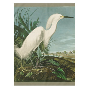 Nappe Audubon Héron de neige Oiseaux d'aigrettes blanche