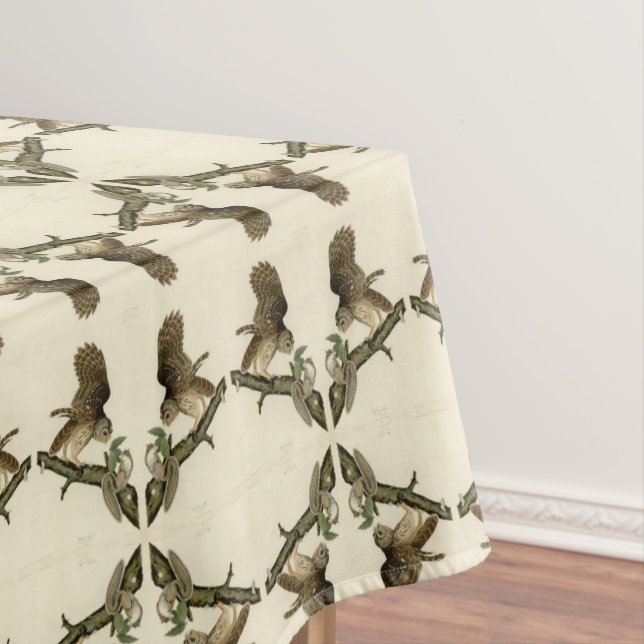 Nappe Barred Owl, John James Audubon's Birds of America (In Situ)