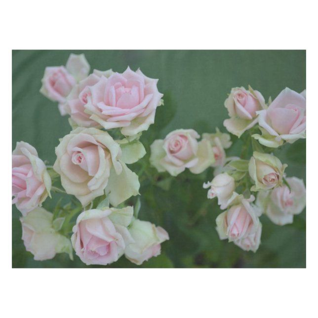 Nappe Beau jardin rose clair roses (Devant (Horizontal))