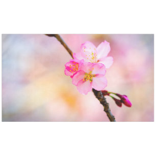 Nappe Beautiful Sakura Cherry