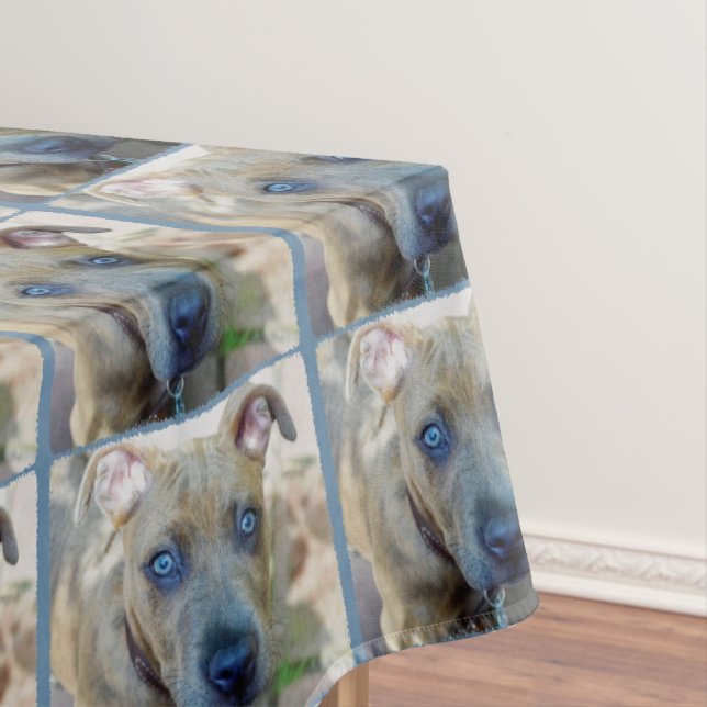 Nappe Brindle Pit Bull Puppy par Shirley Taylor (In Situ)