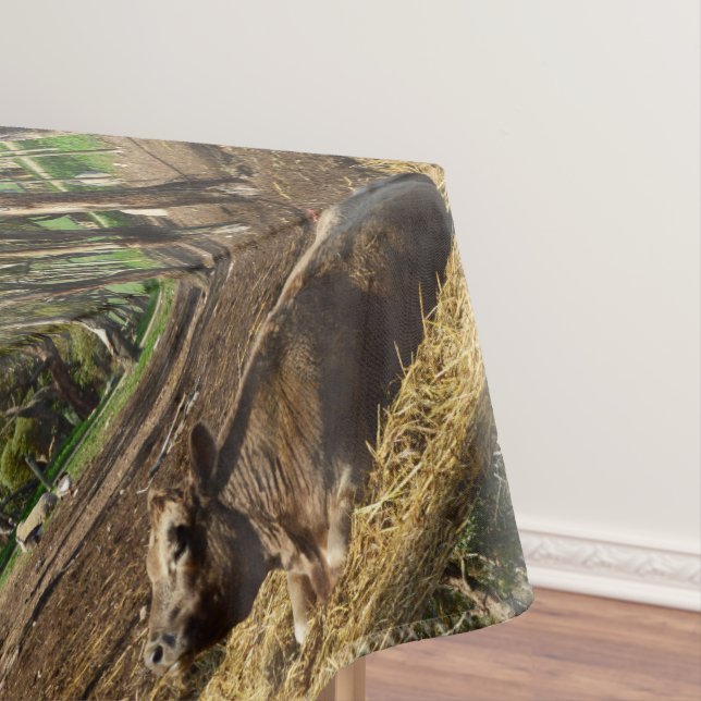 Nappe Brown Cow Lazy Dayz (In Situ)