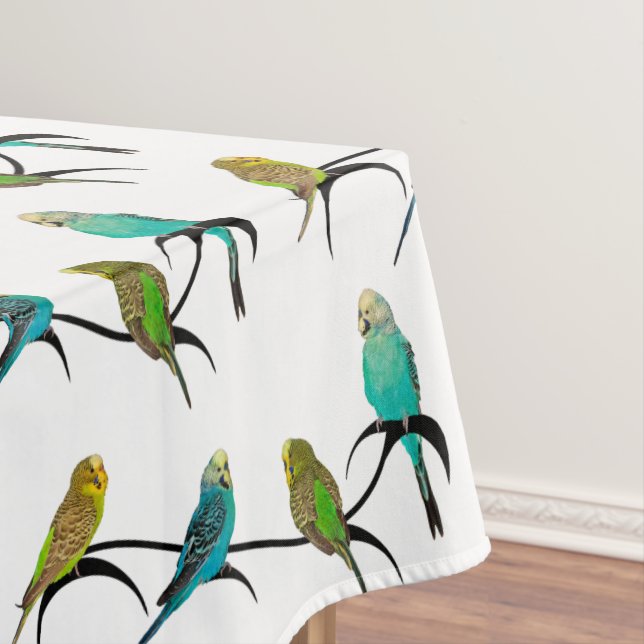 Nappe Budgie Frenzy (choisir la couleur) (In Situ)