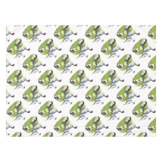 Nappe Canards Famille de Barbu bleu pie (Devant (Horizontal))