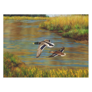 Nappe Canards-Majards Survolant L'Étang