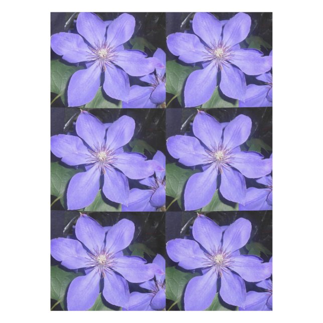 Nappe Césarine (Devant)