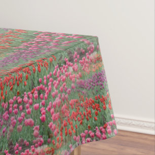 Nappe Champ De Tulipes