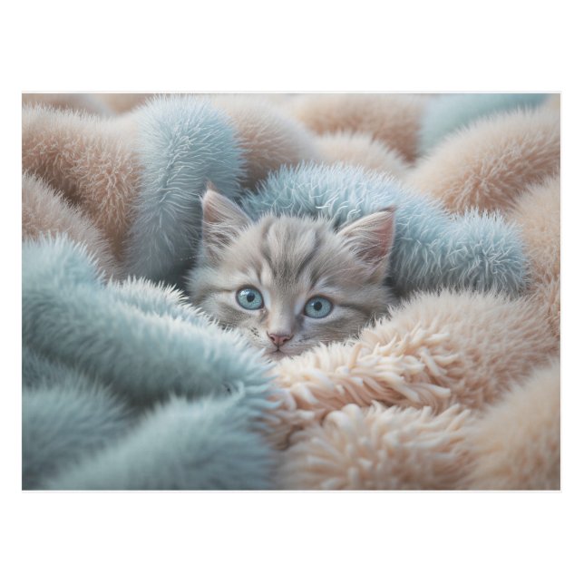 Nappe Chaton duveteux dans une couverture douce (Devant (Horizontal))
