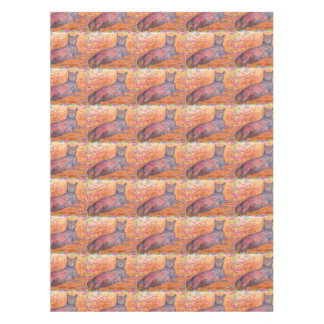 Nappe chatte pavé ensoleillé