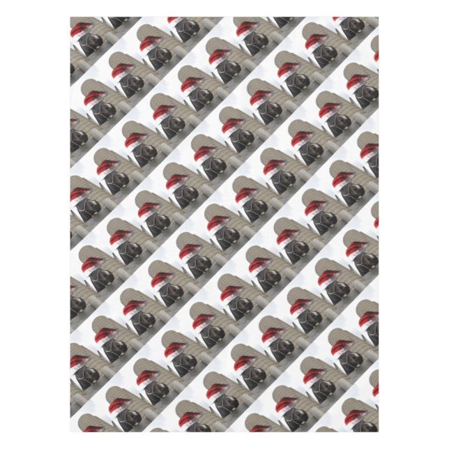 Nappe Cheval avec Santa Hat (Devant)