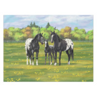 Chevaux Appaloosa Noir Dans Les Pâturages D'Été