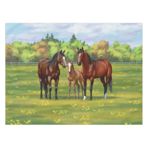Nappe Chevaux Du Quartier De La Baie Brown Dans Les Pâtu