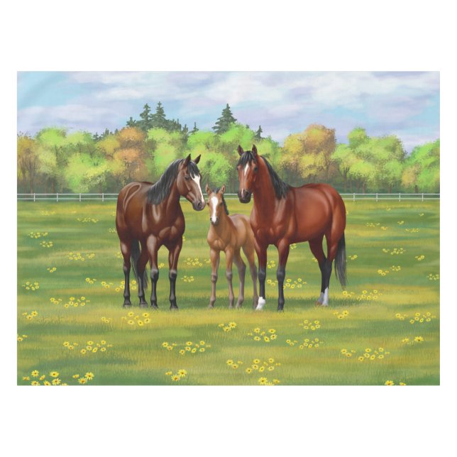 Nappe Chevaux Du Quartier De La Baie Brown Dans Les Pâtu (Devant (Horizontal))