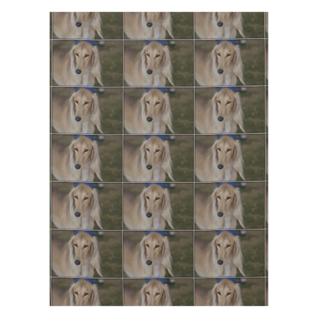 Nappe Chien blond de Saluki (Devant)