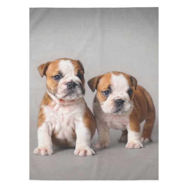 Nappe Chiens de taupe anglais | Couple mou Bulldog (Devant)