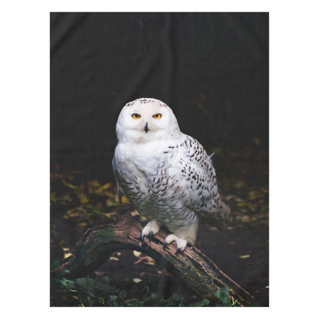 Nappe Chouette hivernale majestueuse (Devant)