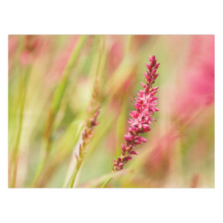Nappe coloris