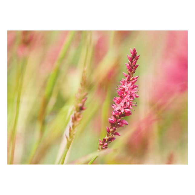 Nappe coloris (Devant (Horizontal))