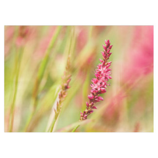 Nappe coloris