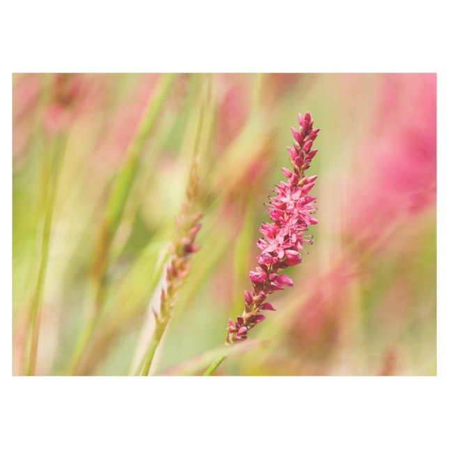Nappe coloris (Devant (Horizontal))