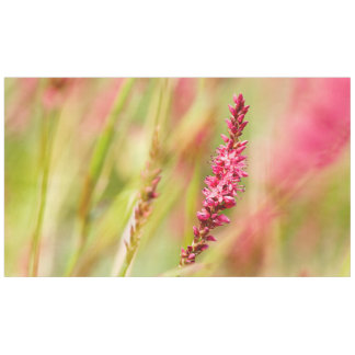 Nappe coloris