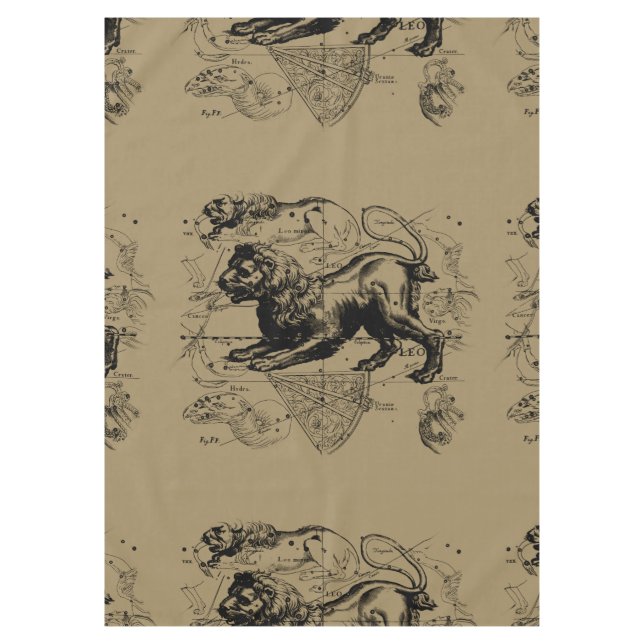 Nappe Constellation du Lion Hevelius 1690 23 juillet - 2 (Devant)