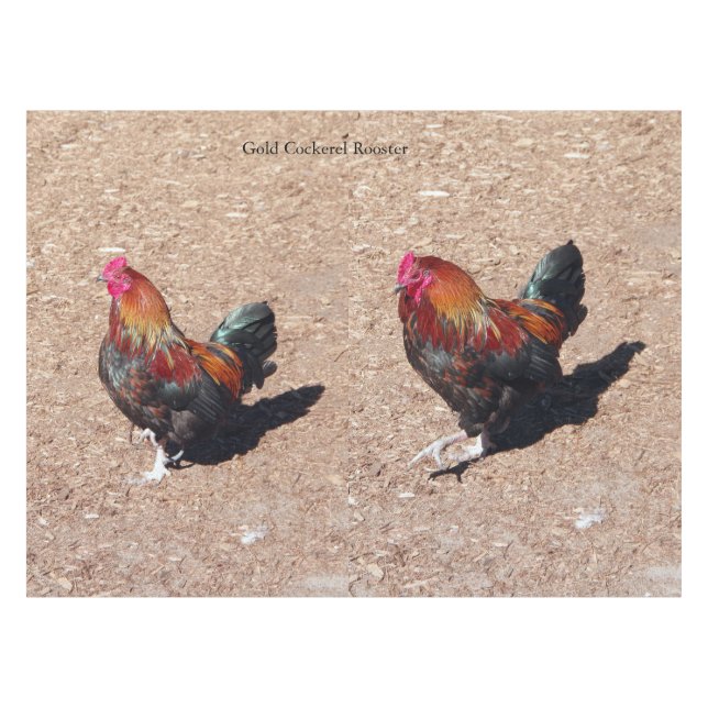 nappe Coq d'or (Devant (Horizontal))