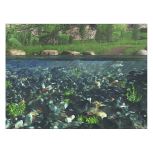 Nappe de rivière de Cwn