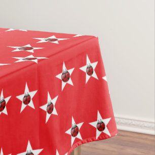 Nappe étoile de Ladybug