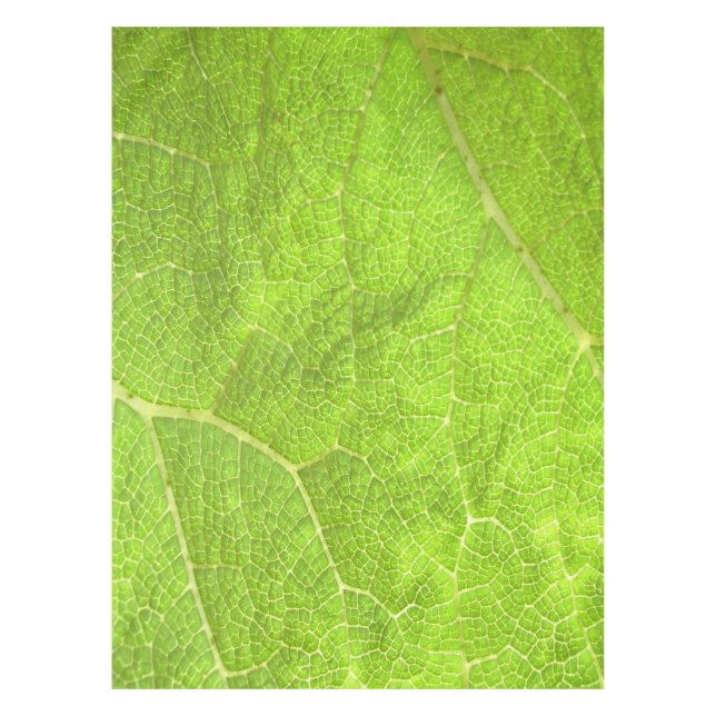 Nappe Fermer une feuille (Devant)