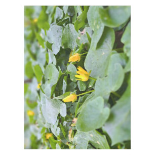Nappe Fleurs sauvages de la forêt – Photographie botaniq