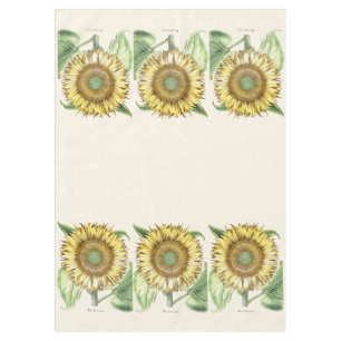 Nappe florale de fleurs de jardin de tournesol