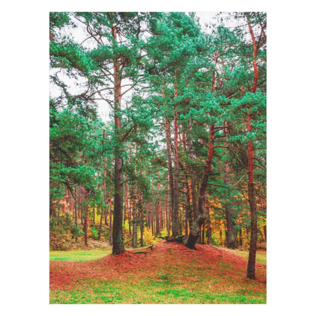 Nappe Forêt mixte d'automne (Devant)
