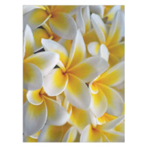 Frangipani Plumeria fleurs mariage