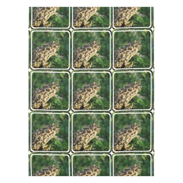 Nappe Froggy (Devant)